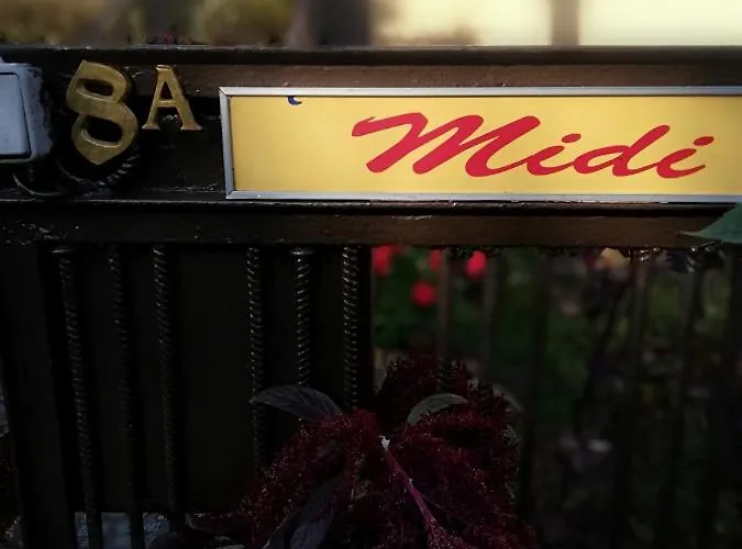 Midi